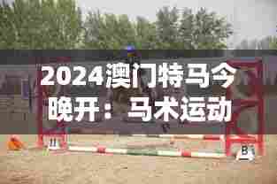 2024澳门特马今晚开:马术运动的独特风采