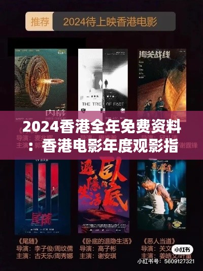 2024香港全年免费资料：香港电影年度观影指南
