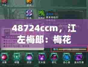 48724ccm,江左梅郎:梅花桩上的武学奇迹