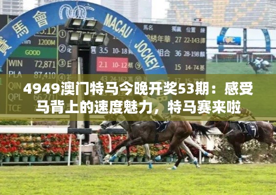 4949澳门特马今晚开奖53期:感受马背上的速度魅力,特马赛来啦