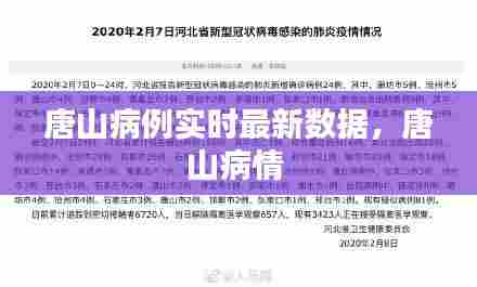 唐山病例实时最新数据，唐山病情 