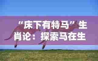 “床下有特马”生肖论:探索马在生肖中的特殊位置