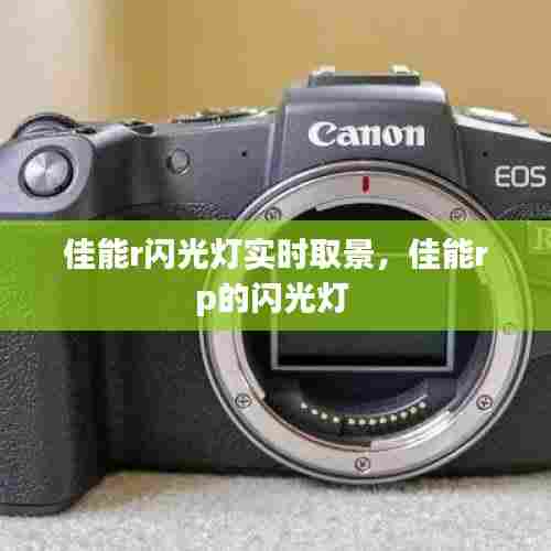 降贵纡尊 第6页