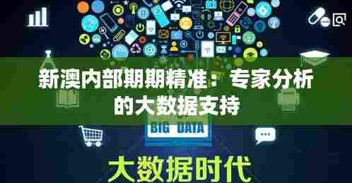 新澳内部期期精准：专家分析的大数据支持