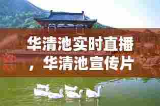 华清池实时直播,华清池宣传片