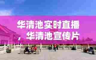 华清池实时直播,华清池宣传片