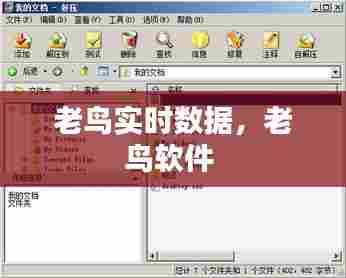 老鸟实时数据,老鸟软件