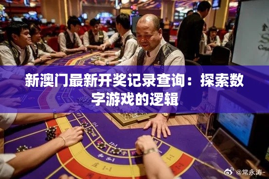 新澳门最新开奖记录查询:探索数字游戏的逻辑