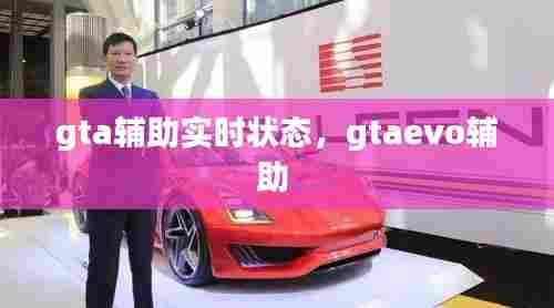 gta辅助实时状态,gtaevo辅助