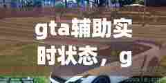 gta辅助实时状态，gtaevo辅助 
