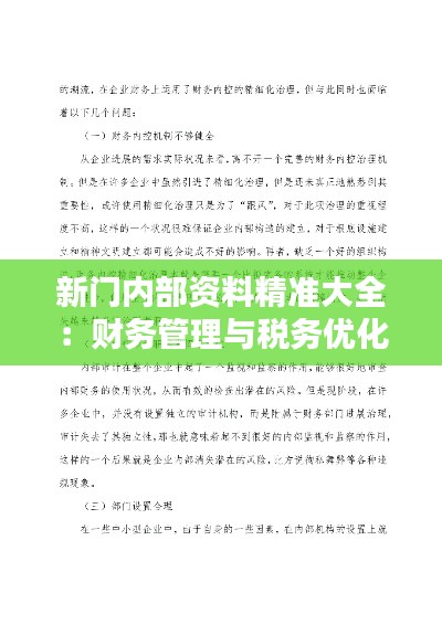 新门内部资料精准大全:财务管理与税务优化指南