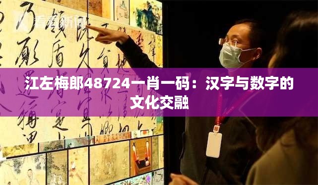 江左梅郎48724一肖一码：汉字与数字的文化交融