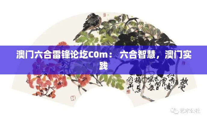 澳门六合雷锋论圪C0m: 六合智慧,澳门实践
