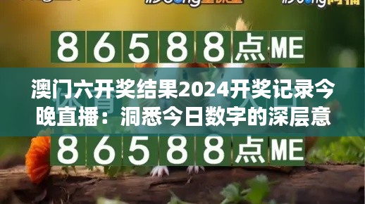 澳门六开奖结果2024开奖记录今晚直播:洞悉今日数字的深层意义
