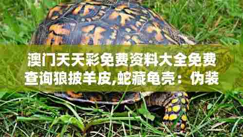 澳门天天彩免费资料大全免费查询狼披羊皮,蛇藏龟壳:伪装大师的生存秘诀