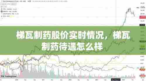 梯瓦制药股价实时情况，梯瓦制药待遇怎么样 