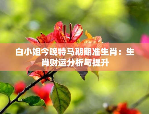 白小姐今晚特马期期准生肖：生肖财运分析与提升