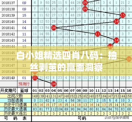 白小姐精选四肖八码：抽丝剥茧的赢面洞察