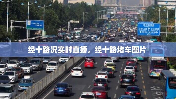 经十路况实时直播，经十路堵车图片 
