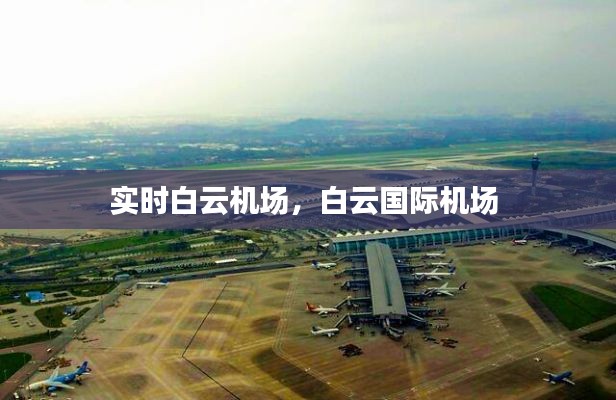 实时白云机场，白云国际机场 