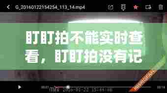 盯盯拍不能实时查看,盯盯拍没有记录
