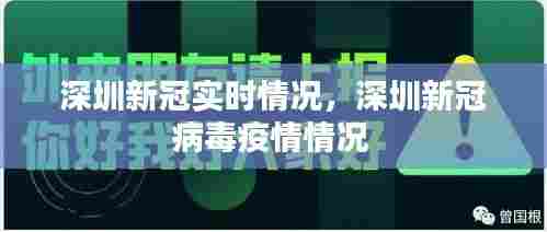 深圳新冠实时情况,深圳新冠病毒疫情情况