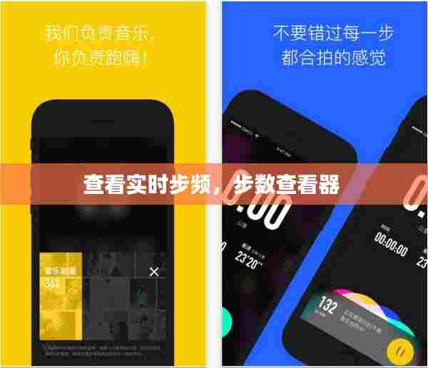 查看实时步频,步数查看器