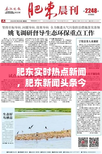 肥东实时热点新闻,肥东新闻头条今日新闻