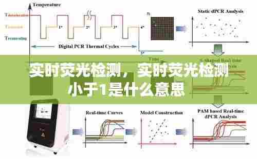实时荧光检测,实时荧光检测小于1是什么意思