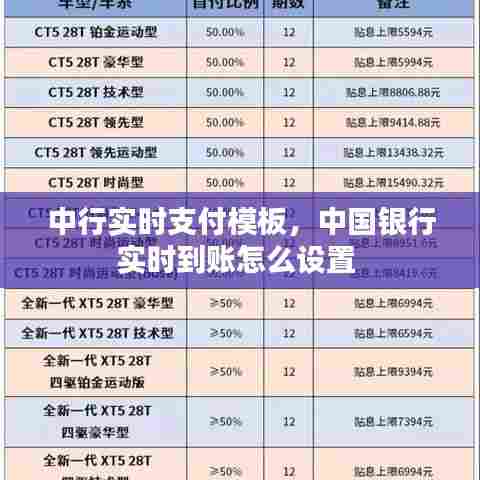 中行实时支付模板，中国银行实时到账怎么设置 