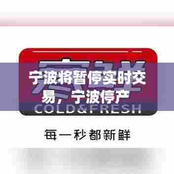 宁波将暂停实时交易,宁波停产