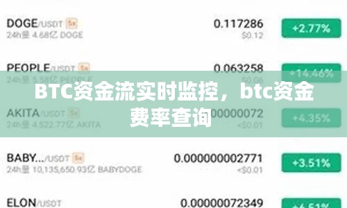 BTC资金流实时监控,btc资金费率查询
