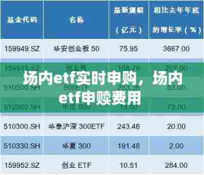 场内etf实时申购，场内etf申赎费用 