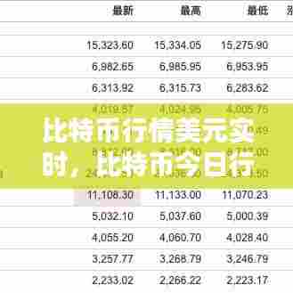 比特币行情美元实时,比特币今日行情美元走势图