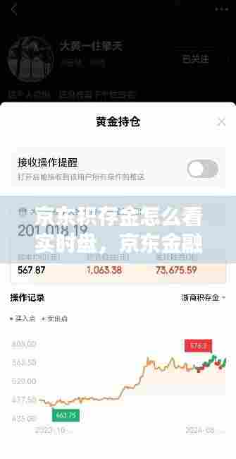 京东积存金怎么看实时盘，京东金融积分订单界面怎么进 