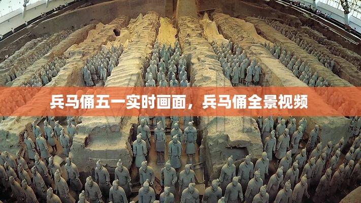 兵马俑五一实时画面,兵马俑全景视频