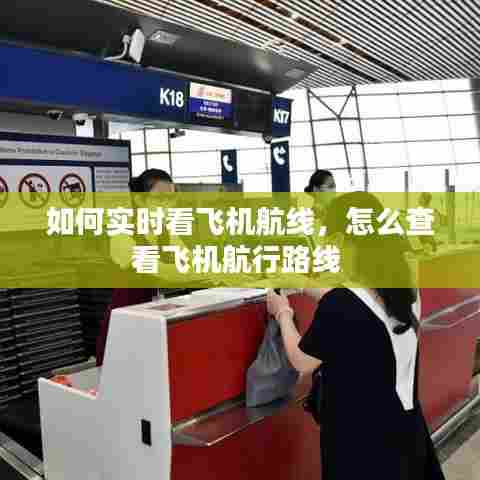 如何实时看飞机航线,怎么查看飞机航行路线
