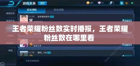 王者荣耀粉丝数实时播报,王者荣耀粉丝数在哪里看