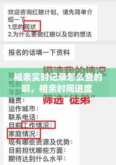 相亲实时记录怎么查的啊，相亲时间进度 