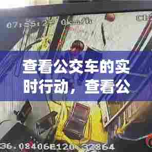 查看公交车的实时行动,查看公交车实时动态的软件下载