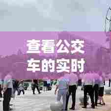 查看公交车的实时行动,查看公交车实时动态的软件下载