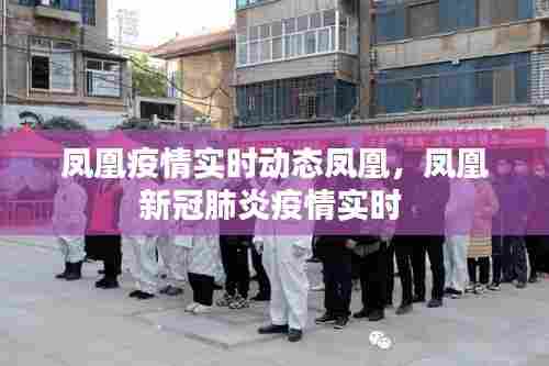 凤凰疫情实时动态凤凰,凤凰新冠肺炎疫情实时