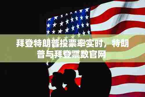 拜登特朗普投票率实时,特朗普与拜登票数官网