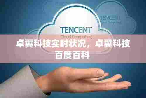 卓翼科技实时状况，卓翼科技百度百科 