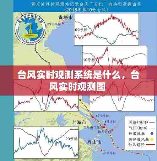 台风实时观测系统是什么，台风实时观测图 