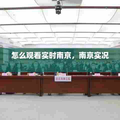 怎么观看实时南京，南京实况 