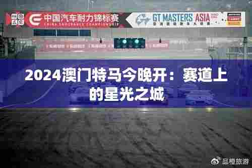 2024澳门特马今晚开：赛道上的星光之城