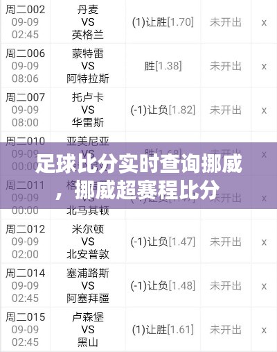 足球比分实时查询挪威，挪威超赛程比分 