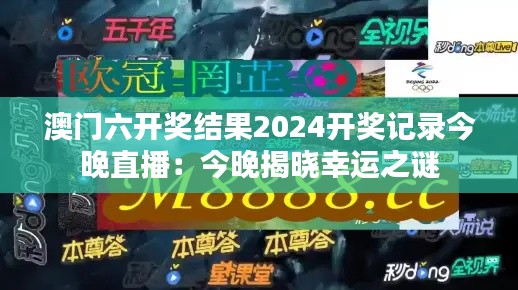 澳门六开奖结果2024开奖记录今晚直播:今晚揭晓幸运之谜