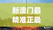 新澳门最精准正最精准龙门：揭秘澳门文化深度游
